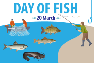 Day of fish