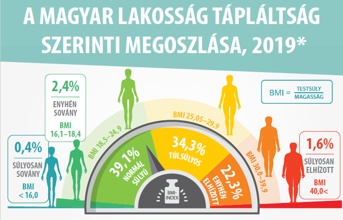 A szív és a keringési rendszer egészségéért |Panangin Forte