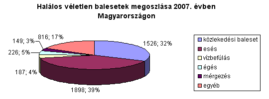 Halálos véletlen balesetek megoszlása 2007. évben Magyarországon