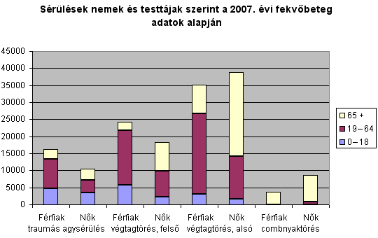 Srlsek nemek s testtjak szerint a 2007. vi fekvbeteg adatok alapjn