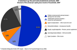 Structure of the annual per capita gross income of households, 2006