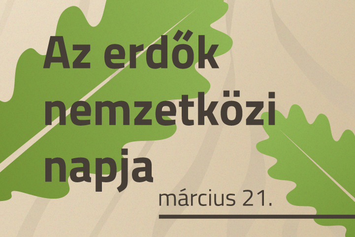 Az erdk nemzetkzi napja – mrcius 21.