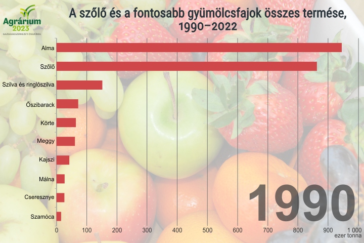 A szőlő és a fontosabb gyümölcsfajok összes termése, 1990–2022
