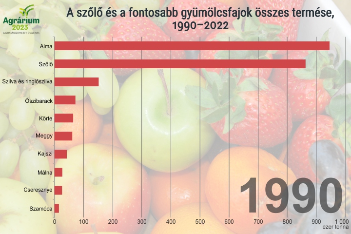 A szl s a fontosabb gymlcsfajok sszes termse, 1990–2022