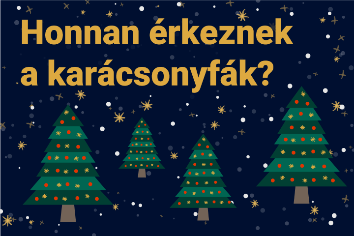 Honnan rkeznek a karcsonyfk?