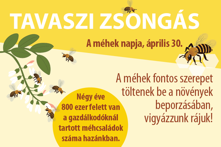 Tavaszi zsongs — A mhek napja, prilis 30.