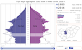 Interactive population pyramid of Hungarian regions (NUTS2) and counties (NUTS3)