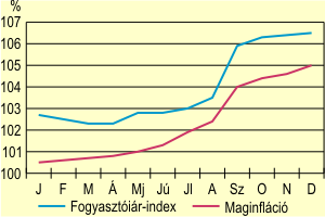 A fogyasztóiár-index és a maginfláció alakulása, 2006